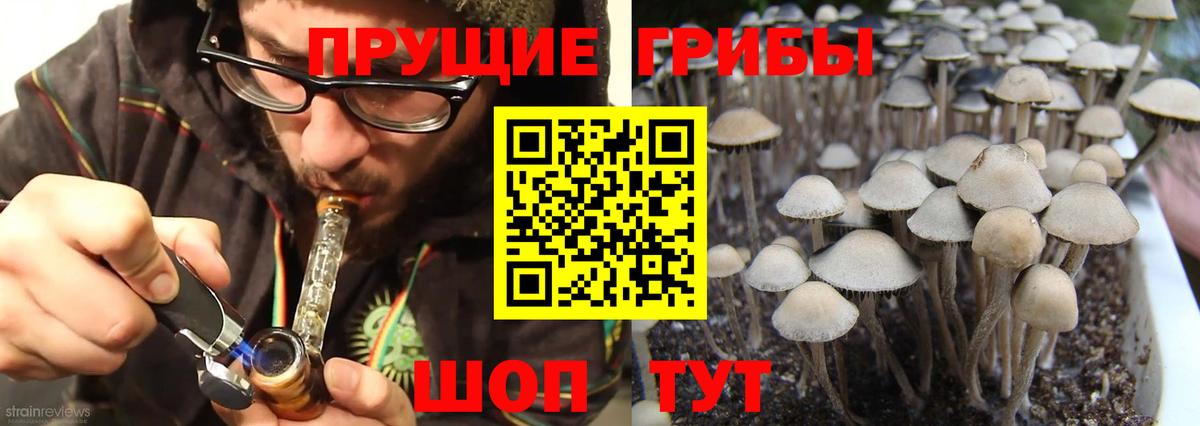 Псилоцибиновые грибы Psilocybine cubensis  Псилоцибиновые грибы ЛСД  Вход с VPN  Юрга 