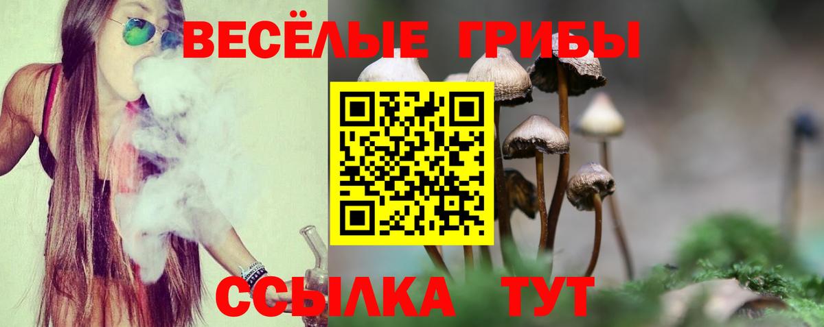 Псилоцибиновые грибы прущие грибы Юрга